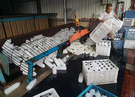 A case of ice making in a 20-ton salt pond in Fujian